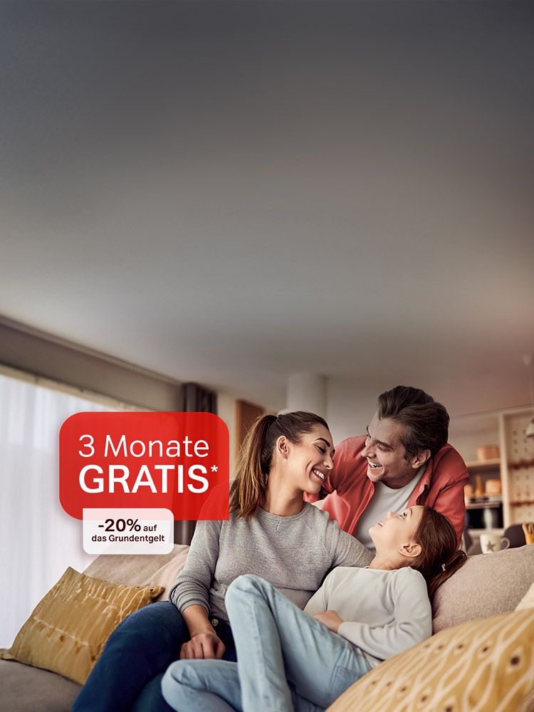 Text zu 3 Monate gratis und -20% auf das Grundentgelt abgebildet. Verweis auf Angebotsbedingungen