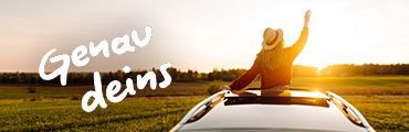 Person auf Autodach im Sonnenuntergang, Feld, weißer Text mit Genau deins