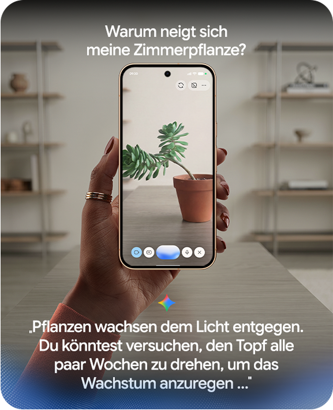 Bild einer Hand, die das Google Pixel 11 Pro hält und auf dessen Display eine Zimmerpflanze zu sehen ist.