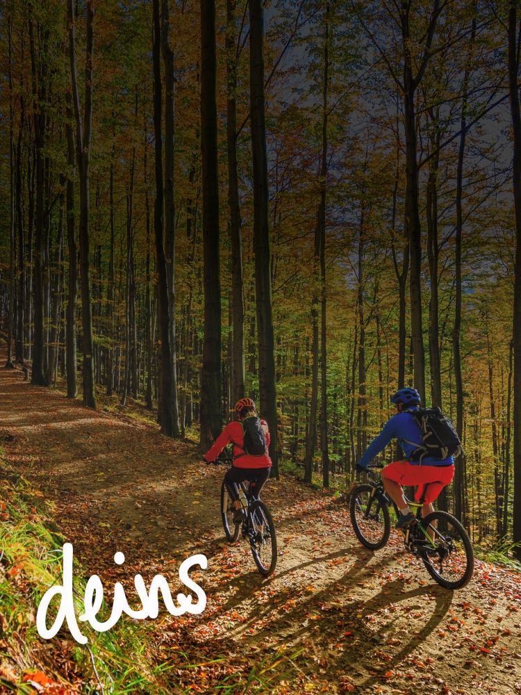 Zwei Mountainbikes im Herbstwald auf Waldweg, weißer Schriftzug deins