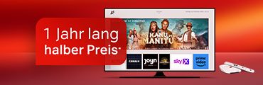 Streaming-Dienste wie Netflix, Sky, Prime Video auf TV; oben Text: 1 Jahr lang halber Preis.